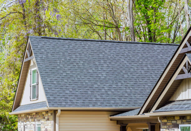Best Steel Roofing  in Prairie City, IA